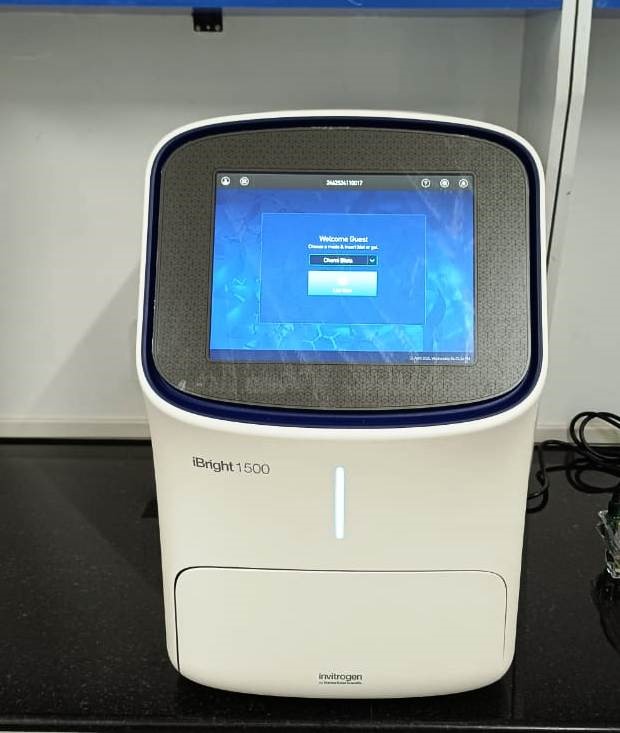 Gel Documentation System